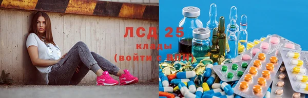 гидропоника Новозыбков