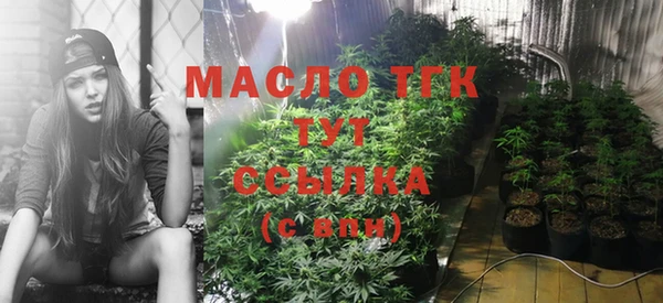 гидропоника Новозыбков