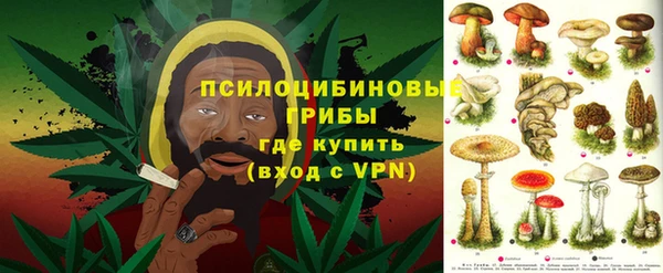 бошки Няндома
