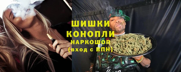 гидропоника Новозыбков