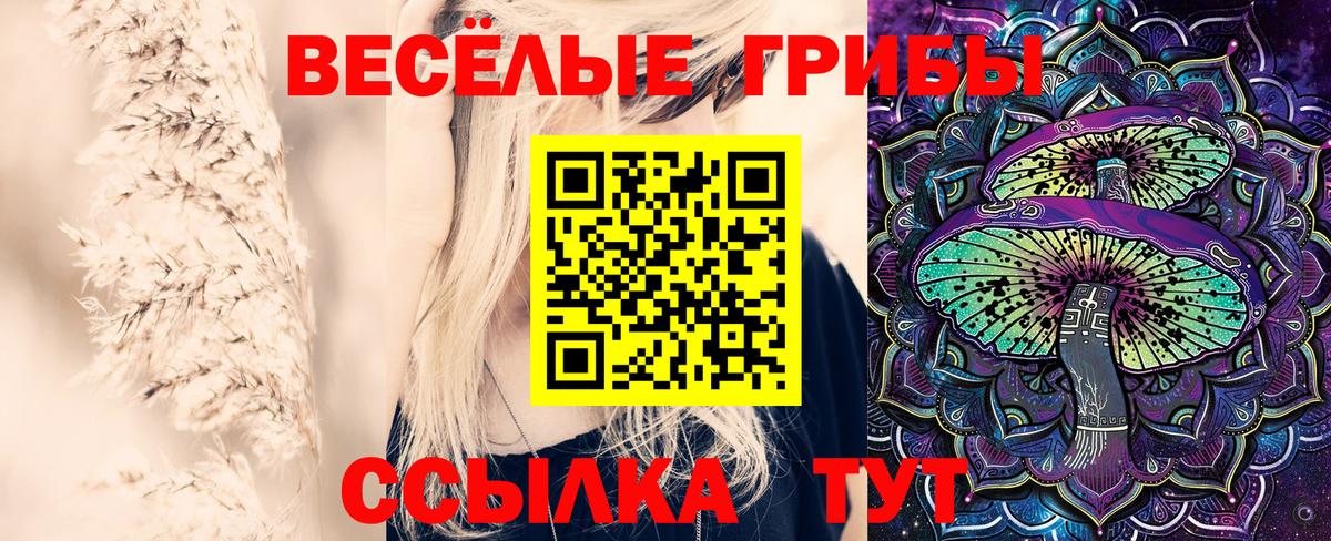 Галлюциногенные грибы Psilocybe Корсаков