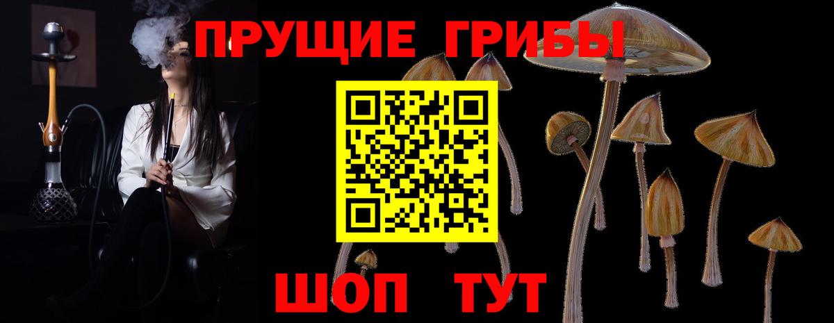 Галлюциногенные грибы Magic Shrooms Корсаков